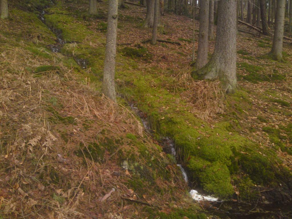 Landgasthof Waldfrieden Hotel Wildensee Zewnętrze zdjęcie