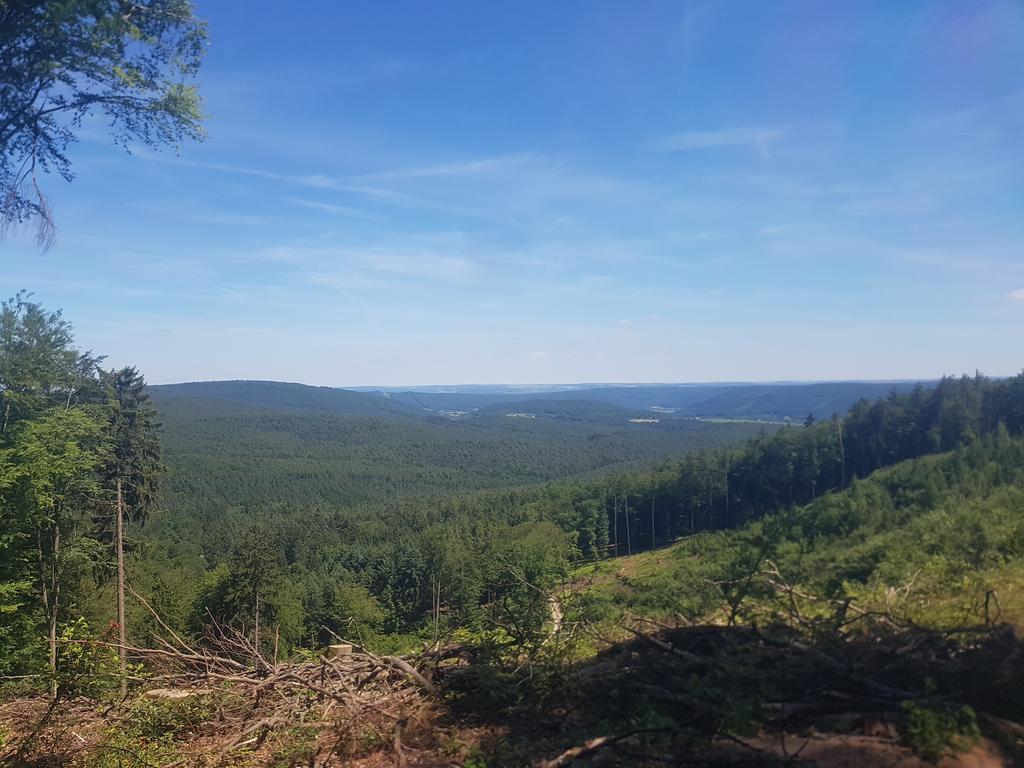 Landgasthof Waldfrieden Hotel Wildensee Zewnętrze zdjęcie